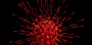 Η πανδημία και οι περιορισμοί της δημοκρατίας