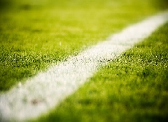 grass-2616911_640 (1)