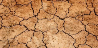 Οι επιθέσεις στη γεωργία