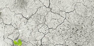 Ευρωκοινοβούλιο: Πολιτικές για την κλιματική αλλαγή