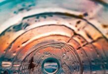 Αλγερία: Καλλιέργεια σιταριού στη Σαχάρα